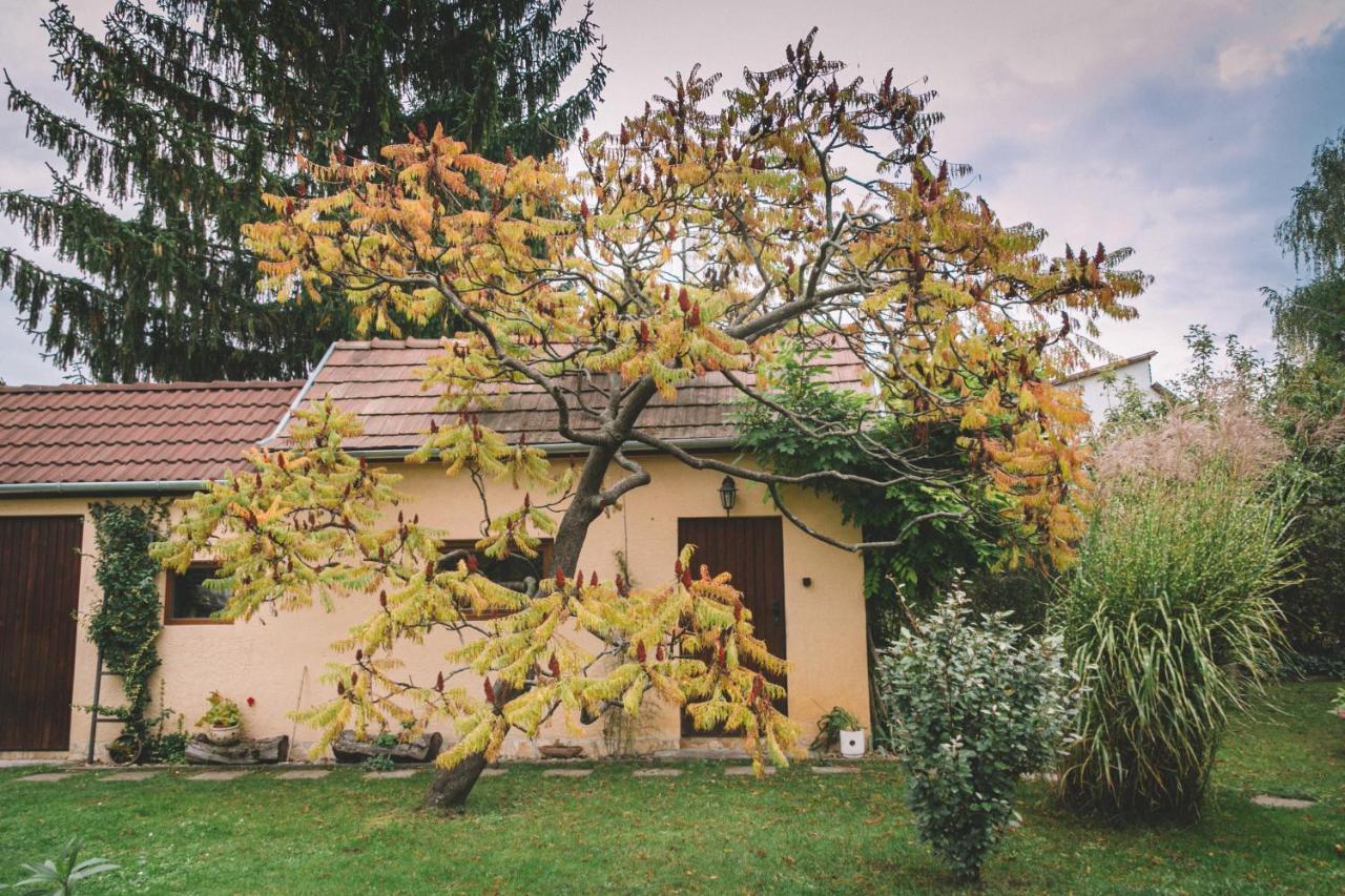 Pannonia Apartment Göd 外观 照片