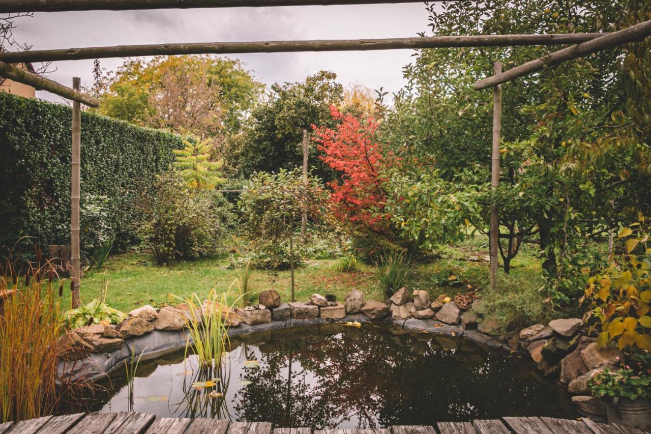 Pannonia Apartment Göd 外观 照片